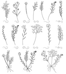  leaves, grass, flowers, hand drawn set of plant
