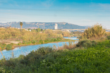 Fototapeta na wymiar Llobregat River near the city of Barcelona