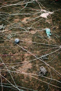 Yarn in the garden