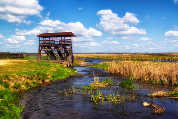Wiosna w dolinie Narwi, Podlasie, Polska