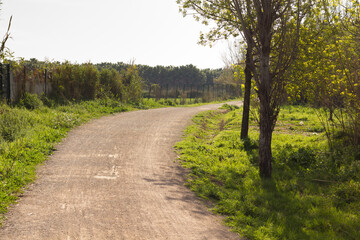 Fototapeta na wymiar Wide flat dirt road ideal for walking