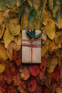 Rustic Christmas Gifts Wrapping with leaf