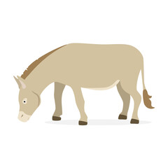 Farm animal donkey