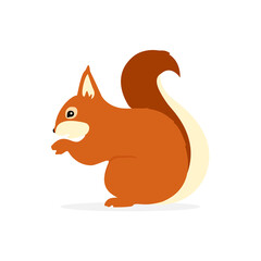 Squirrel character cute