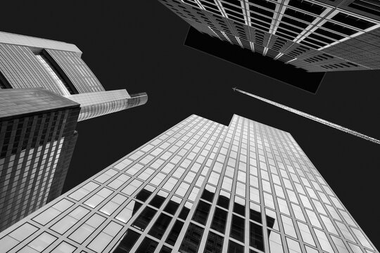 Black and white skyscrapers and flying airplane