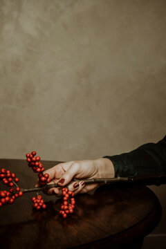 red ball plant