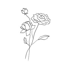 Flowers in line art style. Hand drawn simple botanical bouquet. Vector illustration.