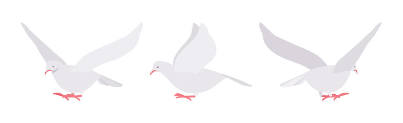 White pigeons, doves set, domestic or street bird in flight. Wildlife study, ornithology and birdwatching concept. Vector flat style cartoon illustration isolated on white background, different views