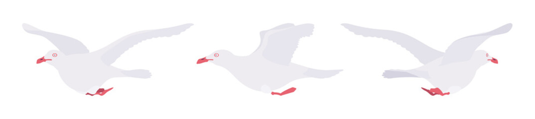 White gulls, seagulls in flight wildlife seabirds and marine set. Wildlife study, ornithology, birdwatching concept. Vector flat style cartoon illustration isolated on white background, different view