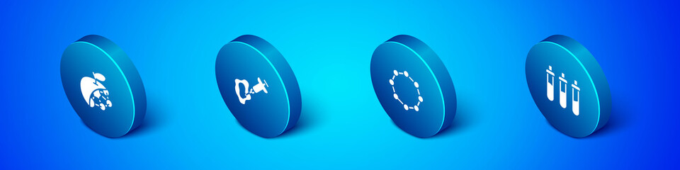 Set Isometric Biological structure, Chemical formula, Reagent bottle and Syringe icon. Vector