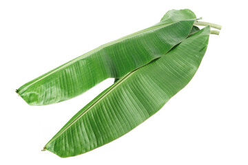 two fresh Musaceae leaves isolated on a white background © Amy Lv