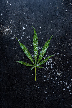Cannabis leaf with salt and pepper