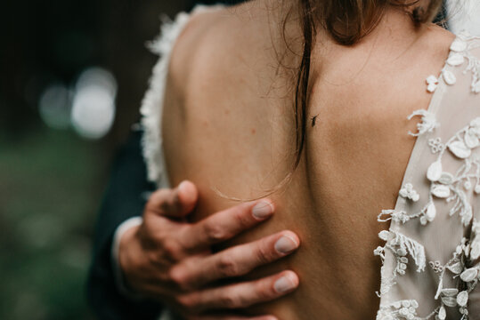 close up of an insect on the back of a bride
