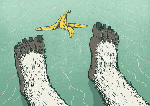 Yeti Feet Slipped On Banana Peel On Ice