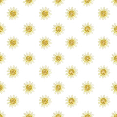 Seamless pattern of watercolor daisies on a white background. Chamomile flower.