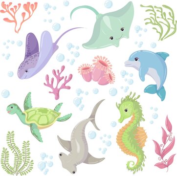 large set of Marine Animals and algae. Electric Ray, Shark and Dolphin. Sea creature. Vector illustration isolated on white background