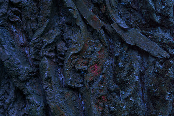 dark wood texture closeup background