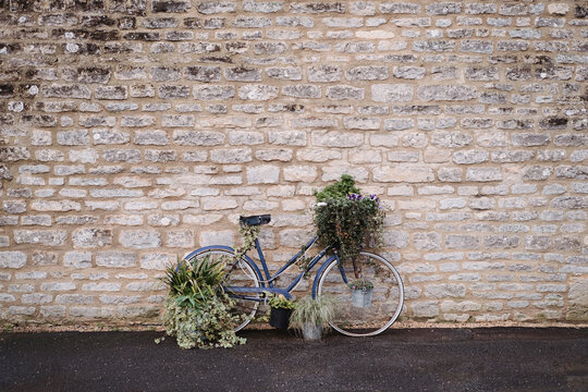 Old blue bicycle covered in plants and flowers