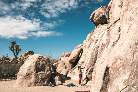 family climbing in joshua tree