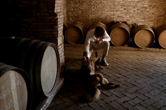 Young winemaker and his dog, inside his winery in the countryside