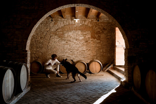 Young winemaker and his dog, inside his winery in the countryside