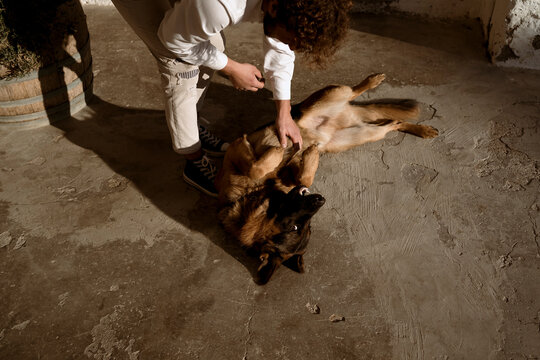 Fashionable man playing with his cute dog at home, in the countryside