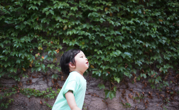 Cute Asian little boy playing near outdoor plant wall