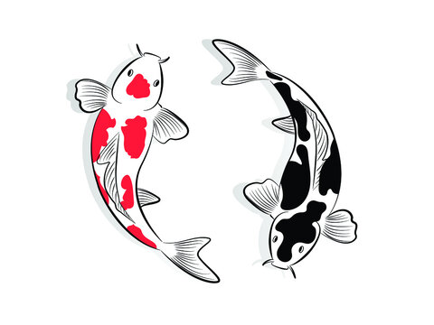 Set of koi fish. Cartoon Vector illustration