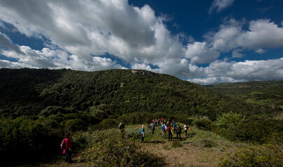 Gruppo di trekkers cammina in montagna immersi nella natura