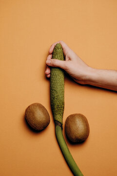 organic sex toy