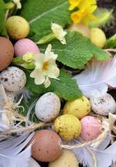 Obraz na płótnie Canvas close on decorative easter eggshidden in spring flowers in the garden