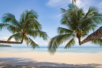 Naklejka na ściany i meble Beautiful tropical paradise white beach and coconut palm trees on island. Beautiful beach and beautiful palm tree summer holiday concept.