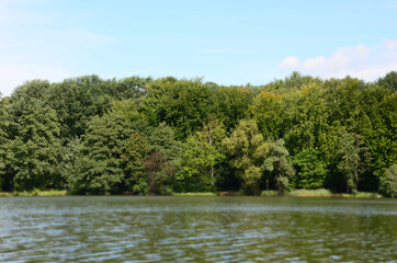 
view of the lake with the forest on the other side