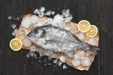 Raw dorado fish or gilt-head bream on ice with lemon slices and rosemary over black wooden background, flat lay, top view.
