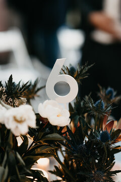 Table number six