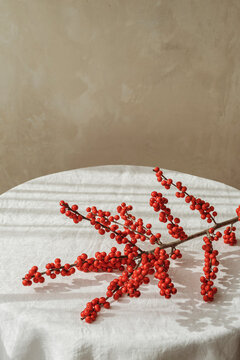 red ball plant