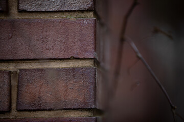 
close-up on muer with interesting magical blurry background