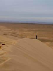 Fototapeta na wymiar dunes in the gobi desert