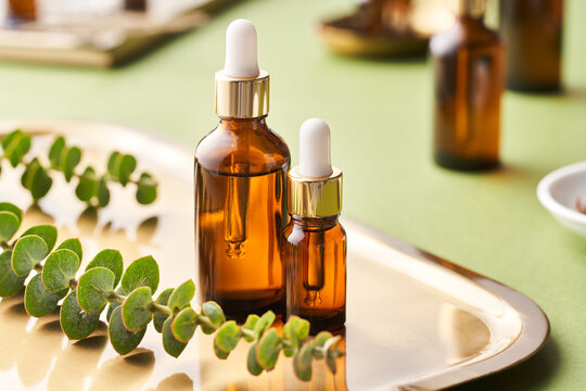 Essential oils and green plant on tray
