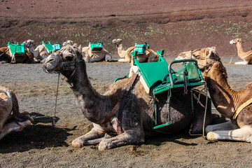 181130 Лансероте Испания Timanfaya National Park Lanzarote Spain