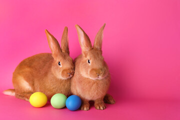 Cute bunnies and Easter eggs on pink background, space for text