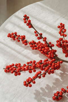 red ball plant
