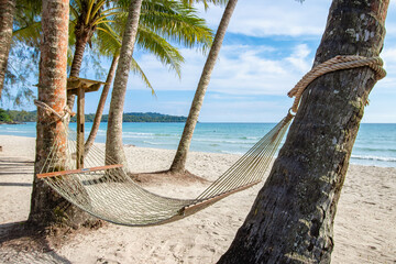Hammock hanging two coconut palm trees on tropical paradise beach with coconut palm trees on island. Relaxation time beautiful beach travel summer holiday concept.