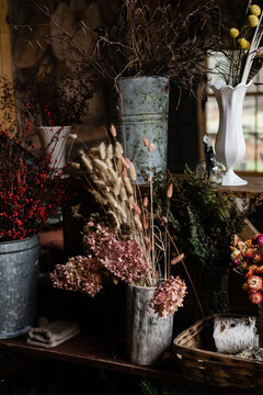 dried hydrangeas in florist
