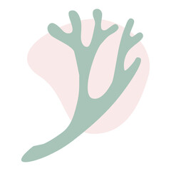 Curved graceful twig of lichen, deer moss with a pink abstract spot on a white background