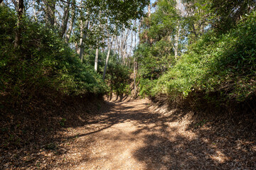 岩槻城の本丸跡　埼玉県さいたま市