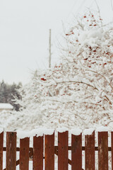 snow covered fence