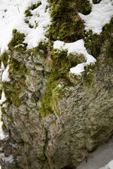 mountain rock covered with moss and snow