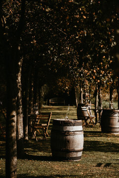 garden with wooden wine barrels and folding chairs for wedding reception