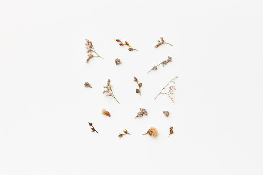 Square pattern from dry pressed wildflowers.